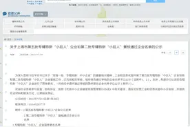 上海：第五批专精特新“小巨人”企业名单图片