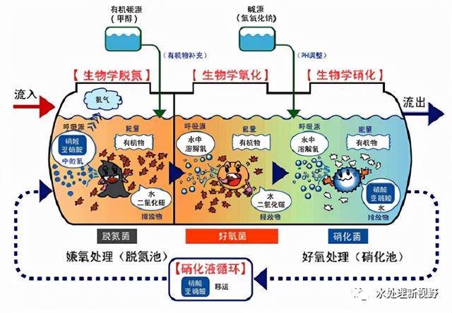 技术解析｜高含盐有机废水我该拿你怎么办？