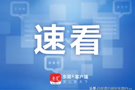 今起报名！东莞中考报名流程看这里！图片