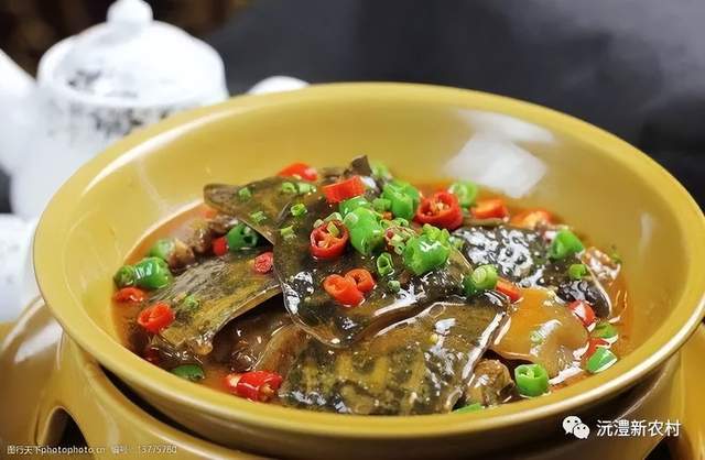 【寻味常德】从一钵常德甲鱼说起(图5)