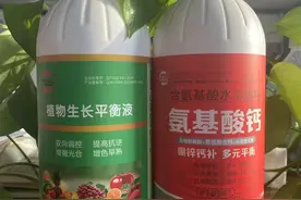 果园两个0.3的诠释！何为两个0.3？图片