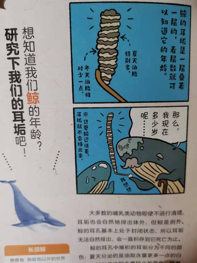 你不知道的动物的秘密,一本好笑又真实的生物图鉴