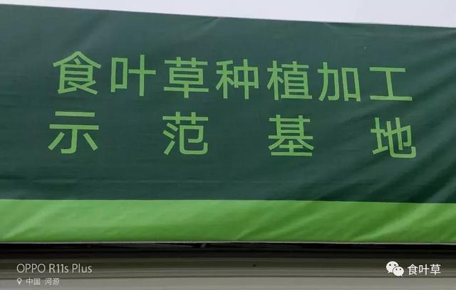 食叶草氨基酸多肽精蛋白与大健康产业