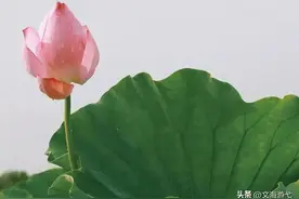 乡村随笔：他就是这样一个非常特别的农村人图片