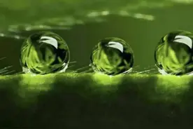 人生有三修——修心，修性，修行图片