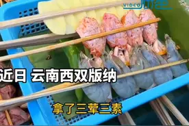 女子在西双版纳旅游遇路边摊刺客，土豆15元一串只有10片，当事人：3荤3素6串烧烤花了130元图片