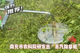 南充市农科院研发出“蒸汽除草机”网友评论比牵头猪还敷衍了事图片
