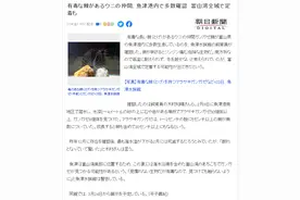 噩耗！日本港口大量有毒海胆聚集，或爆发增长，预示着什么？图片