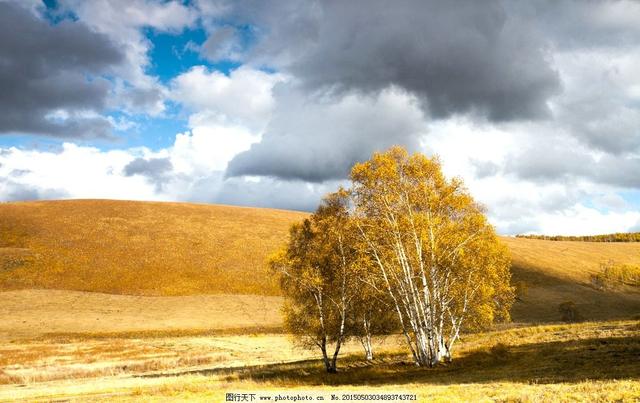 高中生物记忆顺口溜