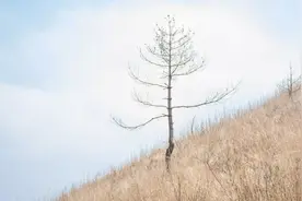 怒时不言，恼时不争，败时不丧，乱时不决图片