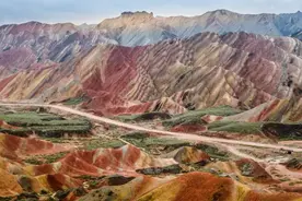 一年只美20天！大西北最壮丽的绽放，留待明年再“战”图片