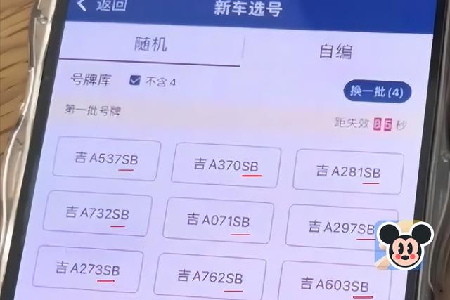男子买新车，网上选牌号，全带“SB”和“ 2B”：你说该咋选？