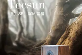眼高手低者请绕道——德生Tecsun SP-100M音箱图片