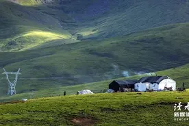 2021年教会我的10个道理图片