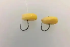 玉米挂钩方法决定垂钓效果，例举常见的8种，总有一种适合你图片