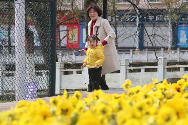 四川省民生研究会新媒体中心-官网