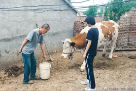 乡村纪实：大嫂之死图片
