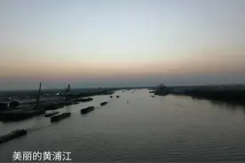 黄浦江两岸非机动车过江问题值得关注图片