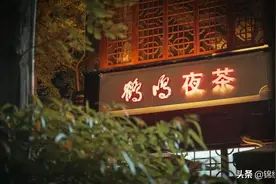 赏荷花、喝夜茶！人民公园邀您过盛夏图片