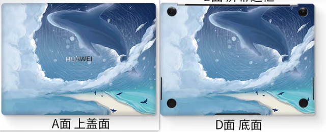 ��ѧ����ѧ�ؿ���������֪���������Ʒ����ϸ�ڣ�