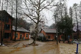 40年前，从村里走出的第一个大学生，他回来了！——记武汉市第十五届人大代表杨驰升图片