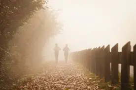 Cut是切，Run是跑，那​你知道Cut and run是什么意思吗？图片