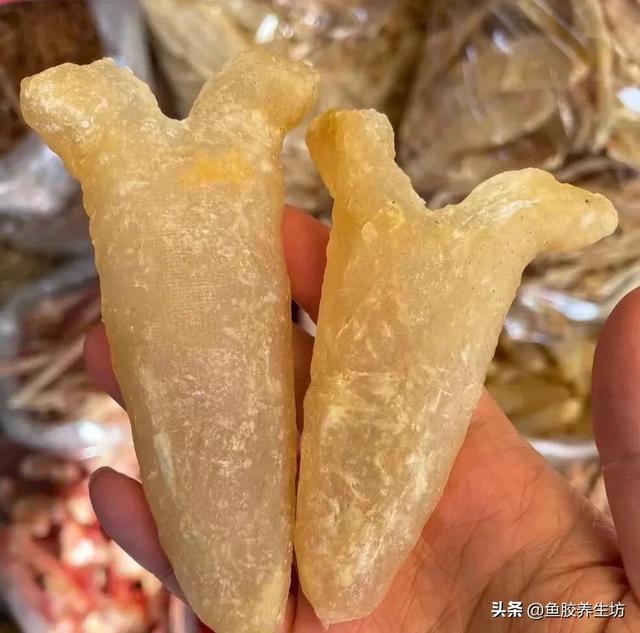 人工合成花胶 人工合成花胶可以吃吗