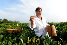 山东省农科院：牢记嘱托扎根大地，为农业发展插上科技“翅膀”图片