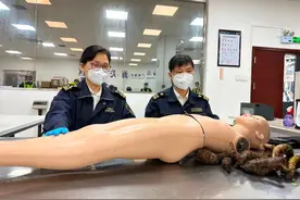这模特不简单！图片