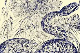 深度剖析楚国蛇图像的艺术表现形式及文化象征意义图片