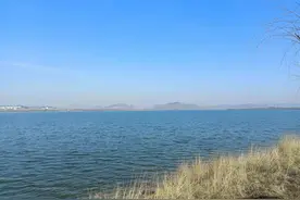 人到中年，过个屁年图片