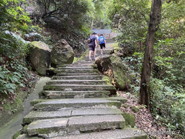 西樵山攻略(西樵山半天可以玩完吗)