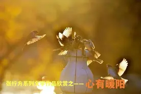 张行方系列文学作品欣赏之——心有暖阳图片