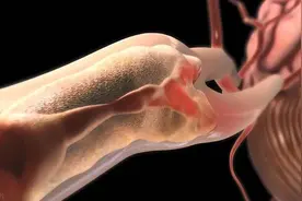 提醒：身体出现4个表现，或是脑溢血前兆，发现后千万别拖图片