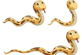 十二生肖中生肖蛇最可怕的一面在哪里？图片