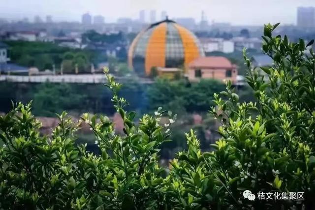 �Ԥ�� | ��һ���ھ�Ҫ��㲻һ����