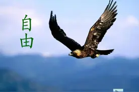 自由的三个层级两个境界，你处在哪一层？你又能到达哪个层级？图片