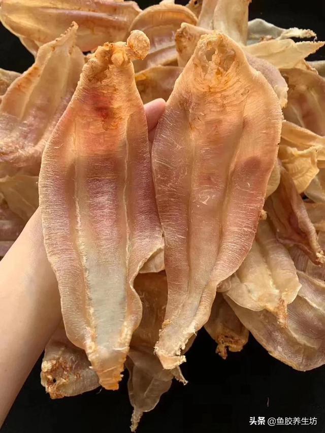 澳大利亚的花胶好吗 2026年澳洲买花胶便宜吗