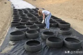 美国修公路先铺一层轮胎，成本只有原来的一半！中国为什么不效仿图片