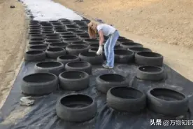 美国修公路先铺一层轮胎，成本只有原来的一半！中国为什么不效仿图片