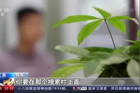10亿多条信息被售卖！江苏警方打掉一灰色产业链犯罪团伙图片