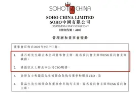 潘石屹清空国内资产后现身海外，人民日报评论一针见血。图片