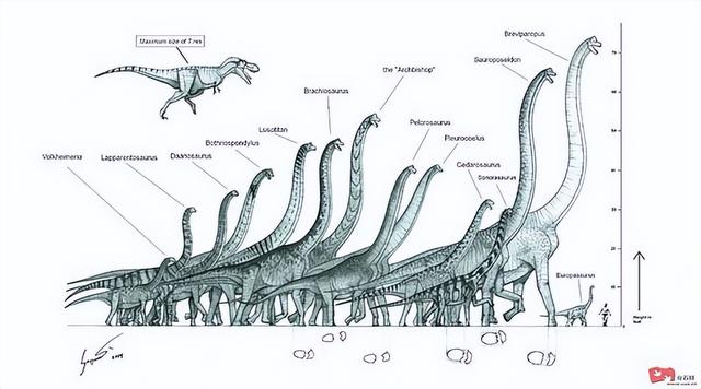 「伪百科」盘点昭和奥特曼中的古生物（终话）