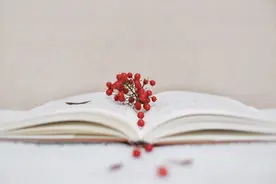 儿童文学翻译：独具匠心为童心图片