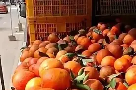 摆摊经验第一篇：新手如何摆摊卖水果，需要准备哪些工作图片