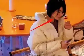“锋菲恋”沸沸扬扬二十年，这次是否真的画上句号？图片