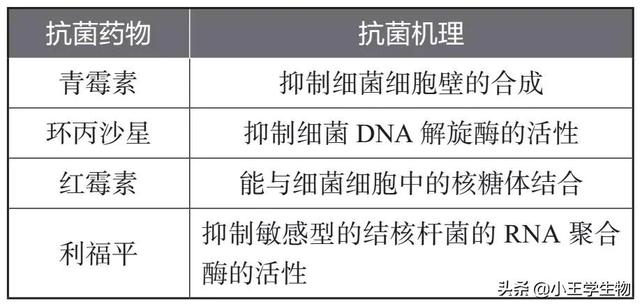 高中生物易错题NO.17基因的表达