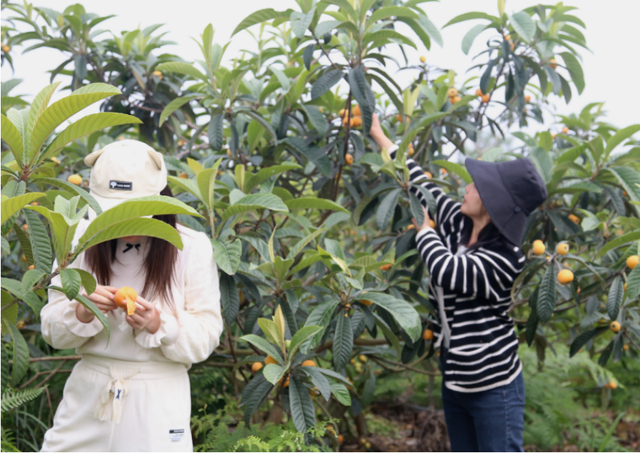 四川省民生研究会新媒体中心-官网