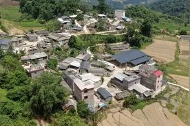 蒙自一山村靠着这项产业，盖起了新房，开起了轿车！图片