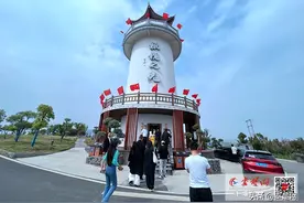 郧阳区杨溪铺镇东方橄榄园：满园油橄榄树四季常青 经济生态相融双赢图片